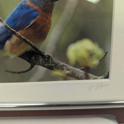 Signed By Ron & Suzette Wright Bird Images 7 3/4" x 5 3/4"