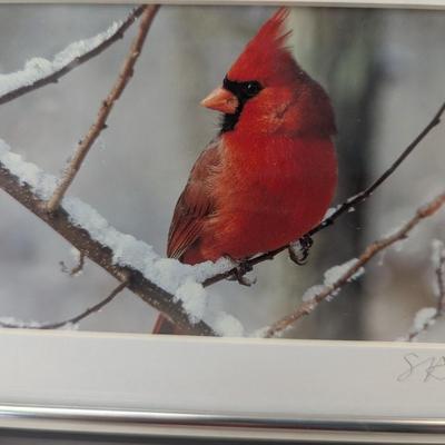 Signed By Ron & Suzette Wright Bird Images 7 3/4" x 5 3/4"