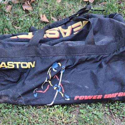 Baseball bat lot, including Easton bag