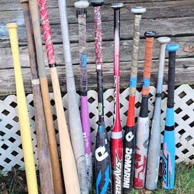 Baseball bat lot, including Easton bag