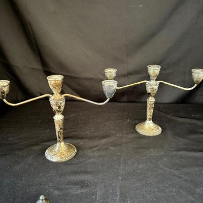 Sterling Wallace, Mayflower & More (D-RG)