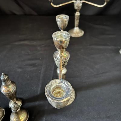 Sterling Wallace, Mayflower & More (D-RG)