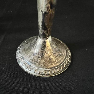 Sterling Wallace, Mayflower & More (D-RG)