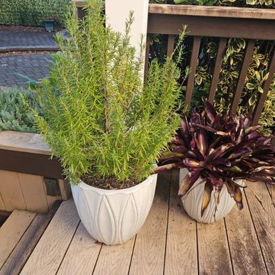 Sale Photo Thumbnail #189