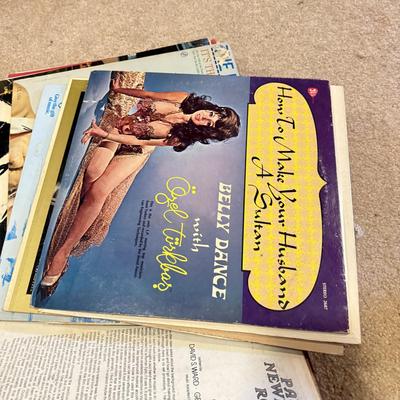 LOT 105B: Large Vinyl Record Collection