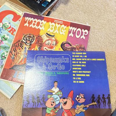 LOT 105B: Large Vinyl Record Collection