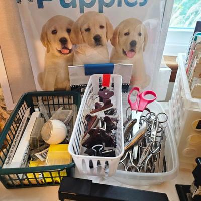 Sale Photo Thumbnail #401