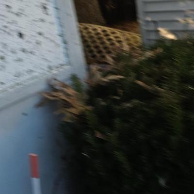 Sale Photo Thumbnail #986