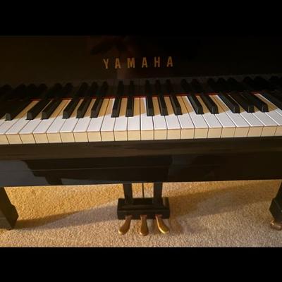 Sale Photo Thumbnail #143: From the 90s 
Recently tuned 
In excellent condition 
Must be picked up from Center City Philadelphia