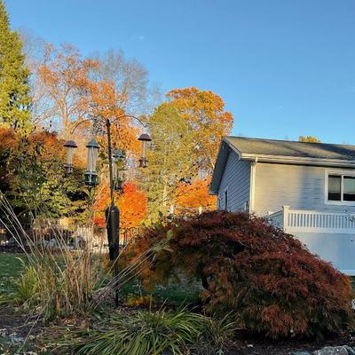 Sale Photo Thumbnail #91