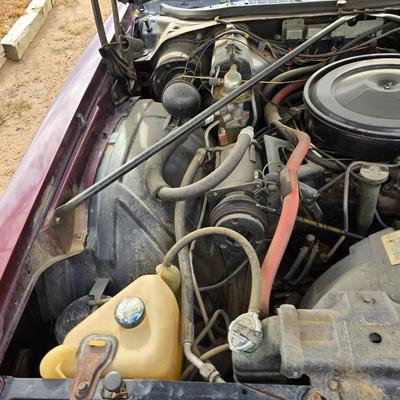 1976 Oldsmobile cutlass 442 - 20370.5 miles on the odometer