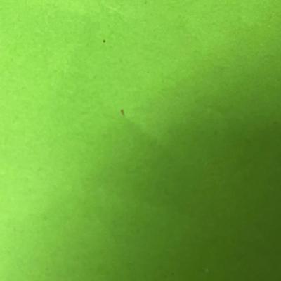 Sale Photo Thumbnail #48: 25×10×71 wooden cabinet with glass door and lower storage.