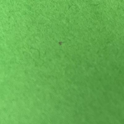 Sale Photo Thumbnail #273: For radial saws, Cat. No. 9-29524, fits blades 7".