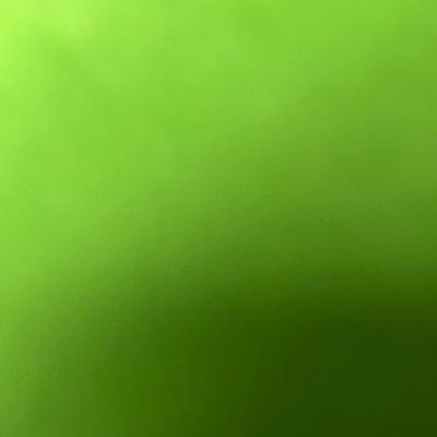 Sale Photo Thumbnail #321: Plaid hat, scarf, mittens, holds gold stick.