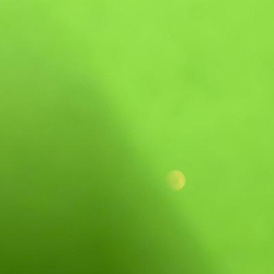 Sale Photo Thumbnail #375: Red outfit, gold ribbon, pearls, holly hat trim.