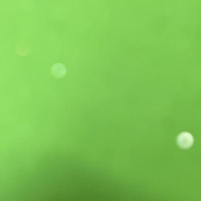 Sale Photo Thumbnail #485: Rustic birdhouse with greenery + glitter house with snowman and tree.