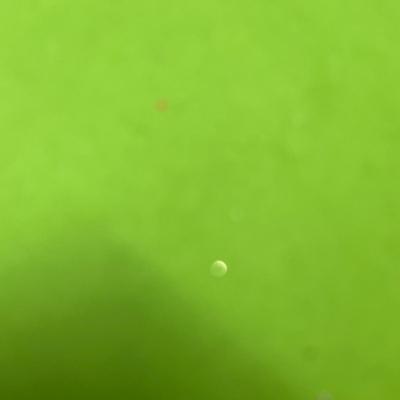 Sale Photo Thumbnail #494: 10-count LED sets—multi-color bulbs, 10ft length, indoor/outdoor use.