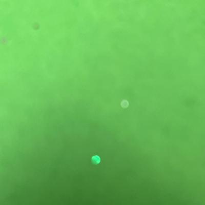 Sale Photo Thumbnail #560: 12 pc—snow trees, bears, deer, white tanks.