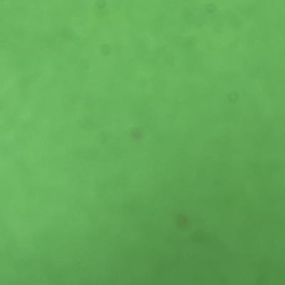 Sale Photo Thumbnail #589: Clear glass, 6 in tall—trumpet angel with wings and gown.