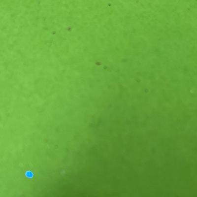 Sale Photo Thumbnail #593: Red suit—staff with reindeer head, blue sack with bear & candy cane.