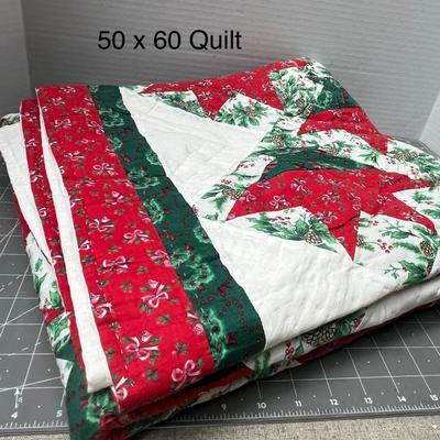 Sale Photo Thumbnail #649: Treasure Chest, 50×60 in, handquilted cotton throw, red/green Christmas design.