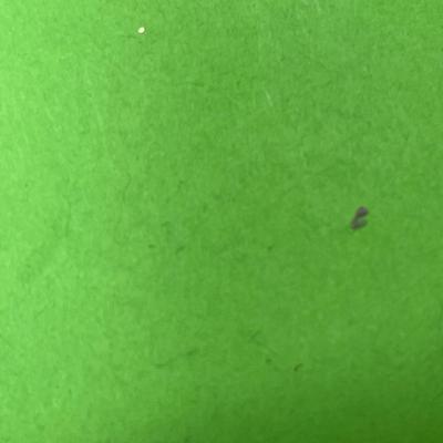 Sale Photo Thumbnail #688: Red berries, gold glitter, frosted branches, green leaves.