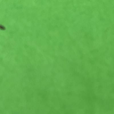 Sale Photo Thumbnail #785: Set of 2, 16.5x12.75 Each.