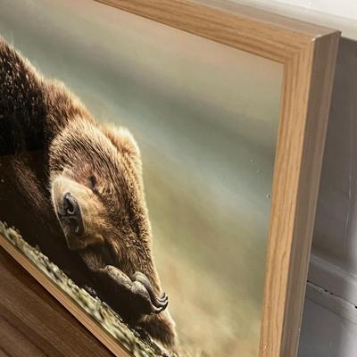 Sale Photo Thumbnail #151: Beauty of nature with the Bear Photography Framed Art Brown.