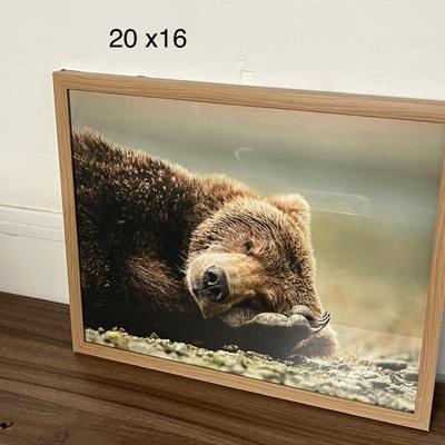 Sale Photo Thumbnail #149: Beauty of nature with the Bear Photography Framed Art Brown.