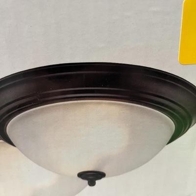 Sale Photo Thumbnail #848: Includes frosted glass shade, two bulbs, 13" Black Finish Fixture.