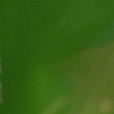 Sale Photo Thumbnail #948: Includes 16" and 24" Dolls, fruit basket, rose garland, bubble wrap, boxed presentation.