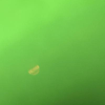 Sale Photo Thumbnail #1008: Includes snowmen, tree, lamp, candy details, glowing interior lights.