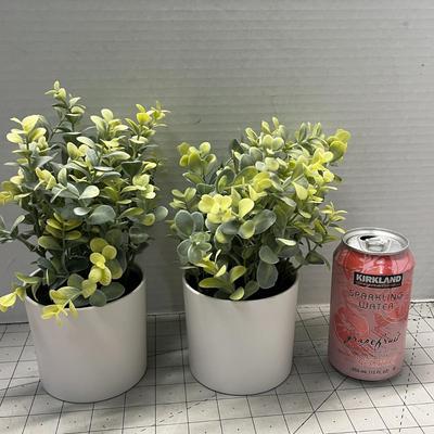 Sale Photo Thumbnail #1042: Includes 3 white pots with green, yellow, variegated leaves.