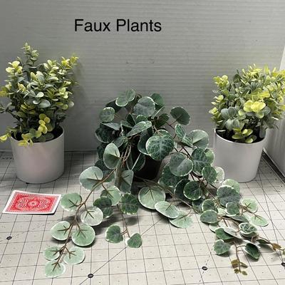 Sale Photo Thumbnail #1041: Includes 3 white pots with green, yellow, variegated leaves.