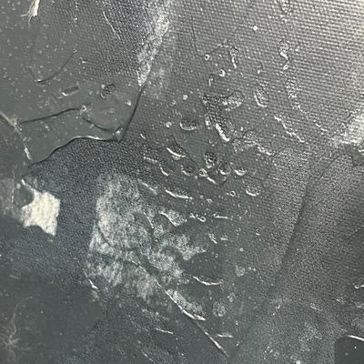 Sale Photo Thumbnail #1054: Includes 2 canvas pieces, gold frames, blue peach tones.