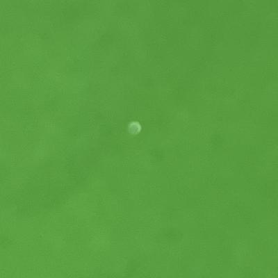 Sale Photo Thumbnail #62: New pastel floral print, gold frame, white mat, decorative piece.