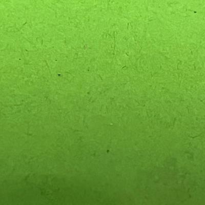 Sale Photo Thumbnail #1143: Includes tool, case, blades, clamp, sanding pad, wrench