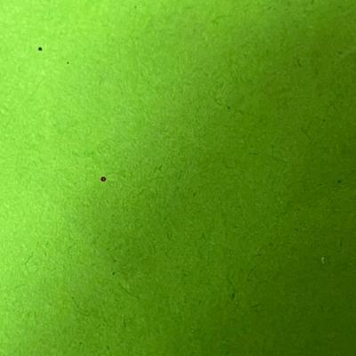 Sale Photo Thumbnail #1178: 3 sizes, color-changing, battery operated with remote.