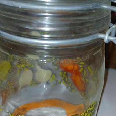 vintage glass canisters with a "Spice of Life" pattern, made by ARC in France. 1 & 2 Liter Jars with a trivet