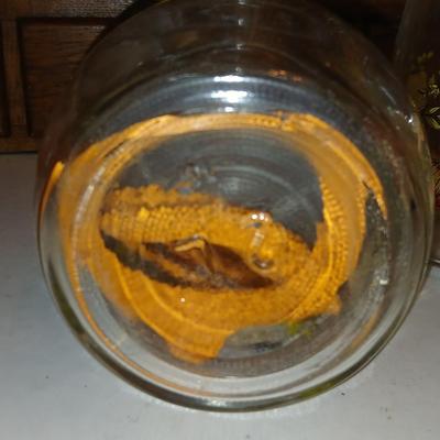 vintage glass canisters with a "Spice of Life" pattern, made by ARC in France. 1 & 2 Liter Jars with a trivet