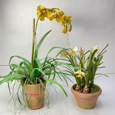 260 Two Silk Plants: Daffodils In Terracotta Pot & Orchid Plant In Bloom