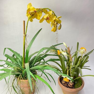 260 Two Silk Plants: Daffodils In Terracotta Pot & Orchid Plant In Bloom