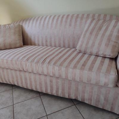 Contemporary Upholstered Single Cushion Couch