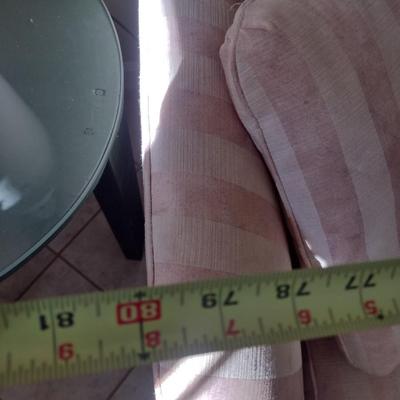 Contemporary Upholstered Single Cushion Couch