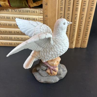 LOT 99: Audubon Nature Encyclopedia Volumes 1-12, Handmade Bird Wall Hanging Quilt, Crystal Hummingbird Paperweight & More