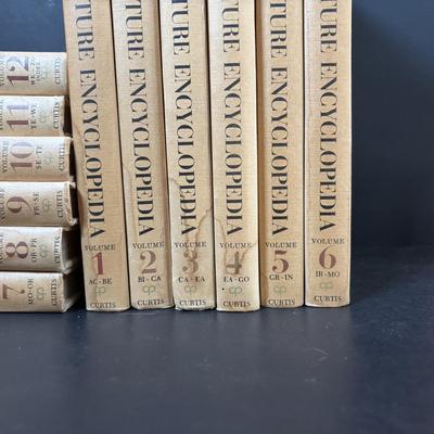 LOT 99: Audubon Nature Encyclopedia Volumes 1-12, Handmade Bird Wall Hanging Quilt, Crystal Hummingbird Paperweight & More