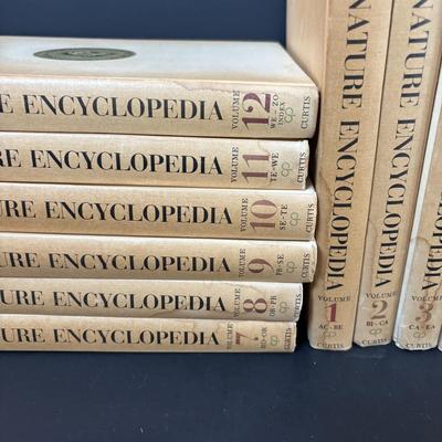 LOT 99: Audubon Nature Encyclopedia Volumes 1-12, Handmade Bird Wall Hanging Quilt, Crystal Hummingbird Paperweight & More