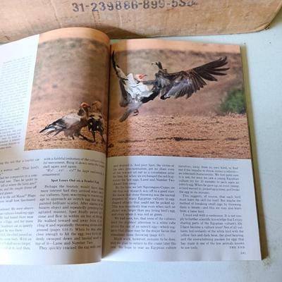 LOT 123: Large Collection of National Geographic Magazines 1960s - 1970s