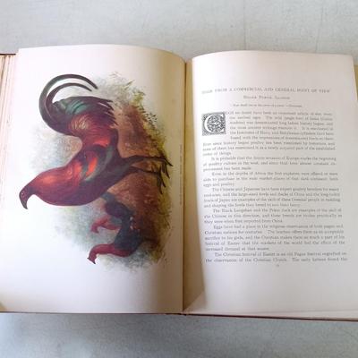 LOT 133: The Poultry Book 1904 Volumes I and II