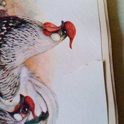 LOT 133: The Poultry Book 1904 Volumes I and II